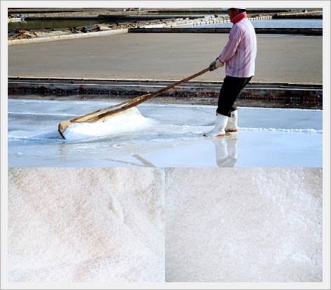 Bay Salt Made in Korea